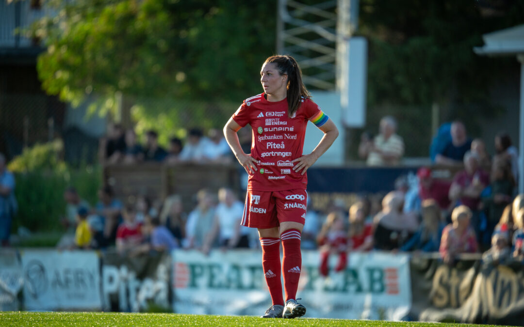 Senaste nytt från PIF Dam